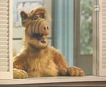 Alf (TV alien) laughing in the kitchen window
