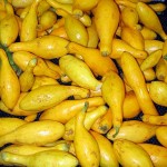 Yellow_squash