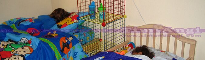 Bedroom with a twin and a toddler bed containing two sleeping children