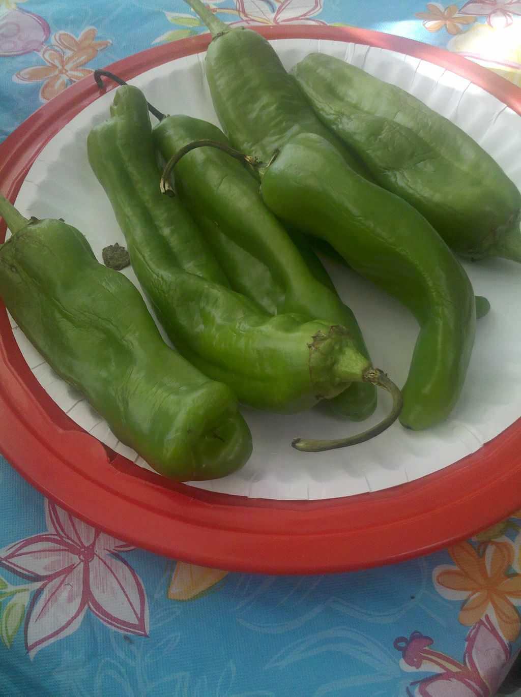 New Mexico green chile