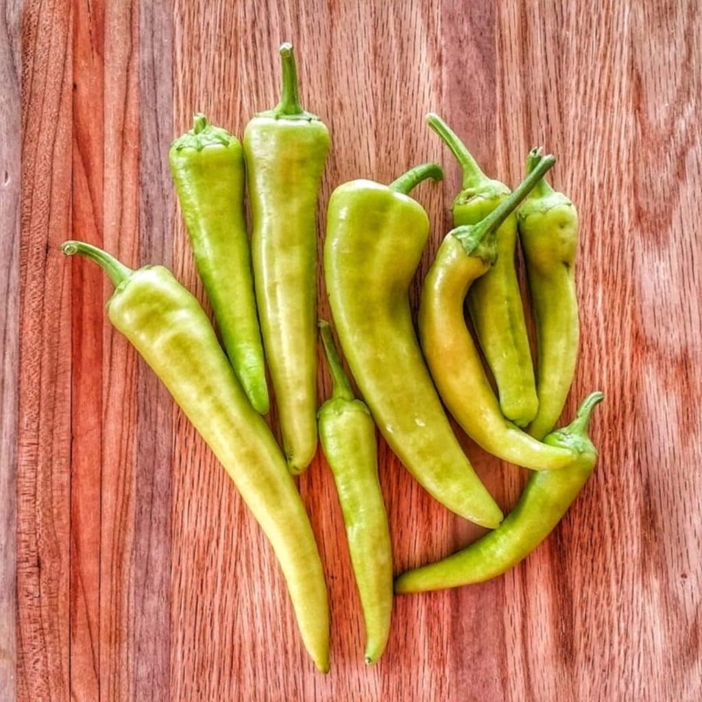 Green Chile Season Is Here ⋆ Tim & Angi